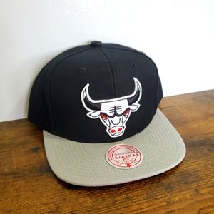 Chicago Bulls Mitchell & Ness Red Eye Bull Black & Gray Flatbrim Snapback Hat